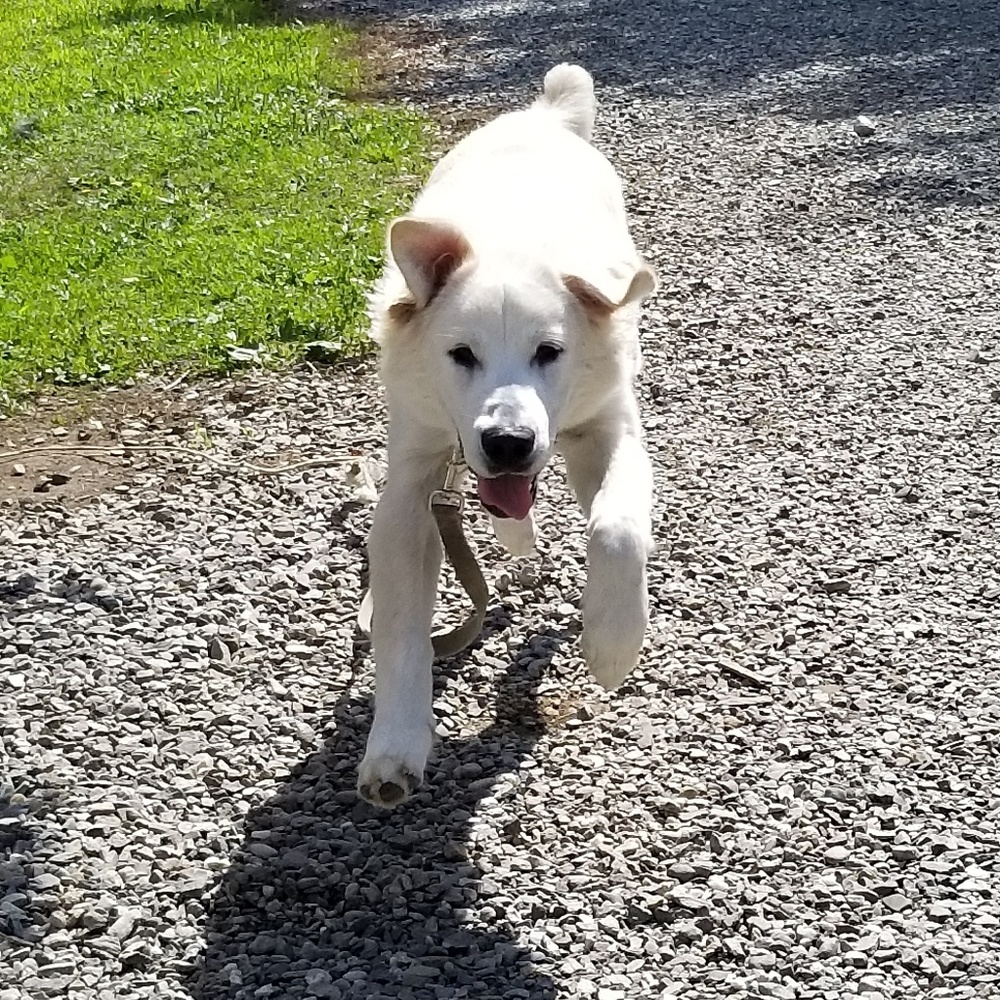 Meet your Posher, Jill